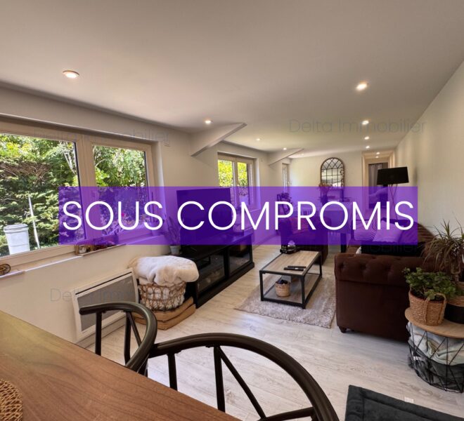 SOUS COMPROMIS (17)