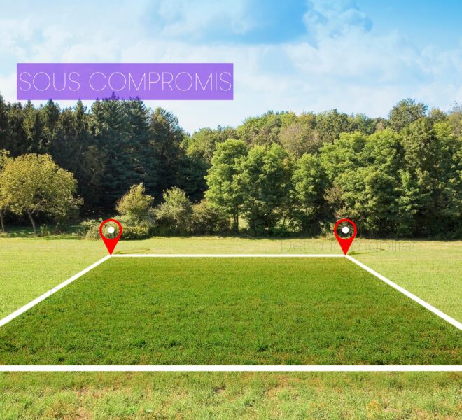 SOUS COMPROMIS (4)